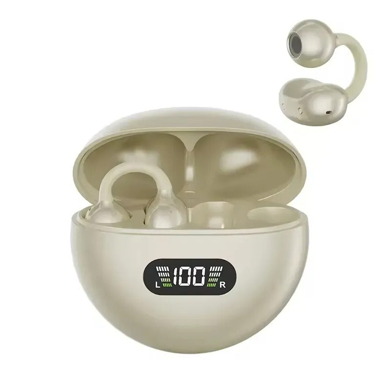 Earphones 2026.