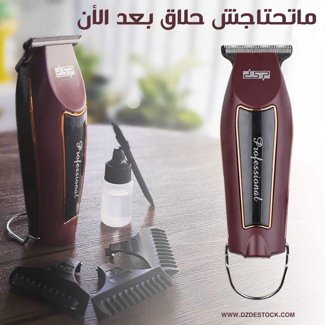 dsp professionnel 90339