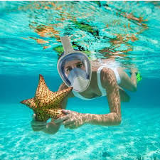 Masque de plongée   قناع الغطس