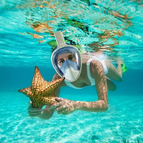 Masque de plongée   قناع الغطس