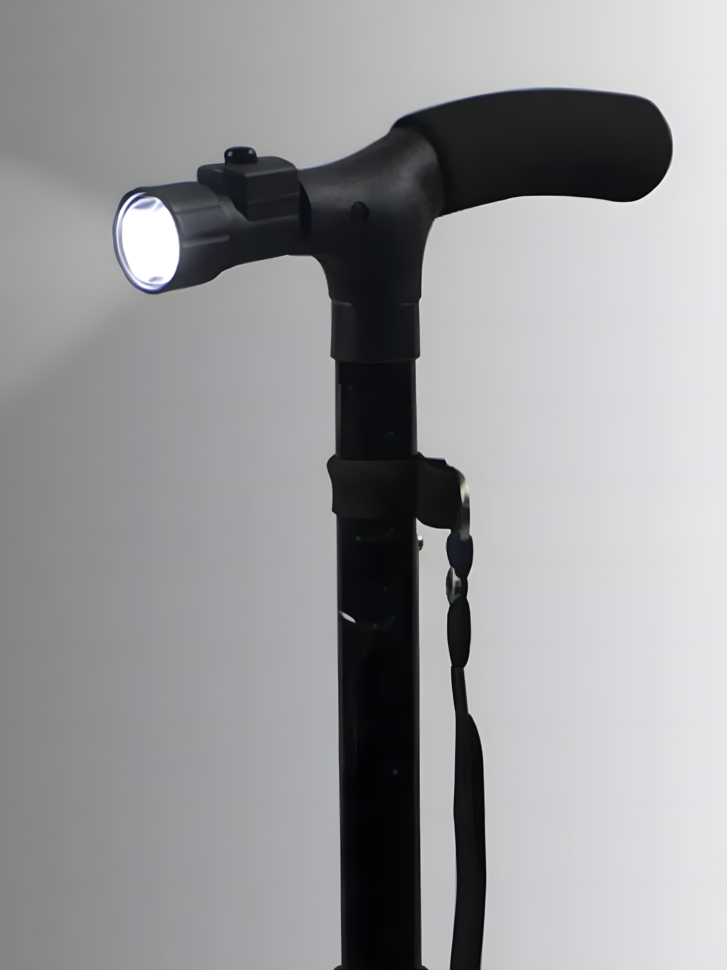 Trusty Cane