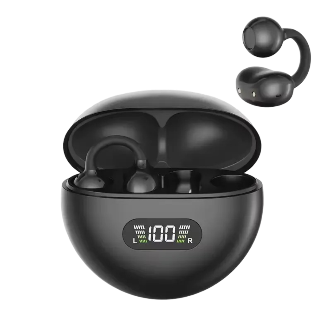 Earphones 2026.