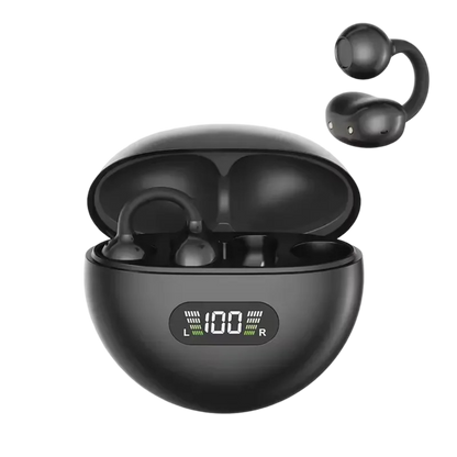 Earphones 2026.